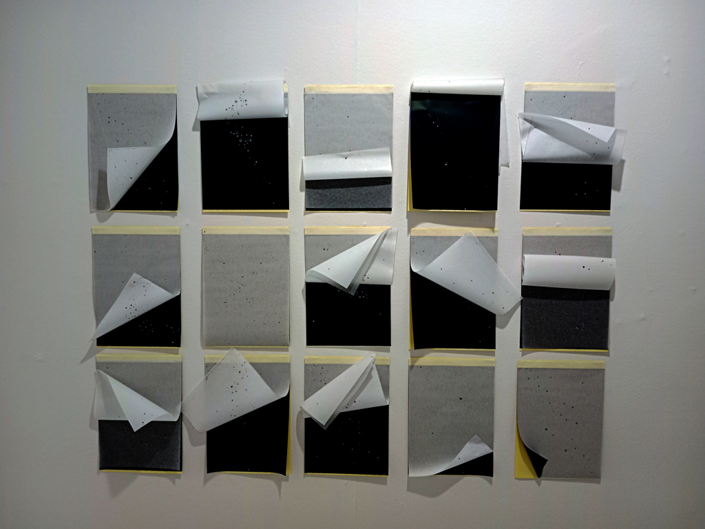 MARIA-ROJA-PEQUEÑO-ASTERISMO-1